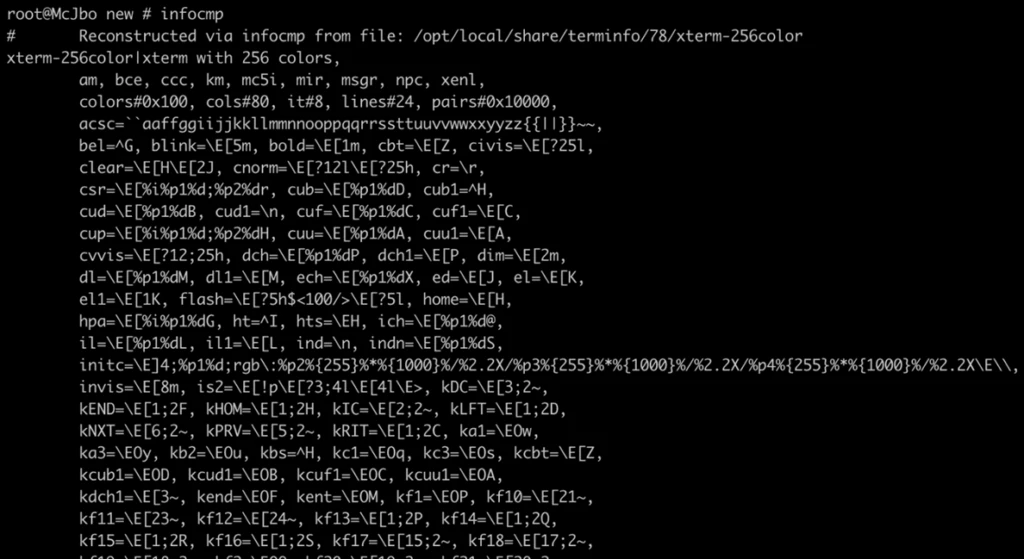 Screenshot of the infocmp utility code output