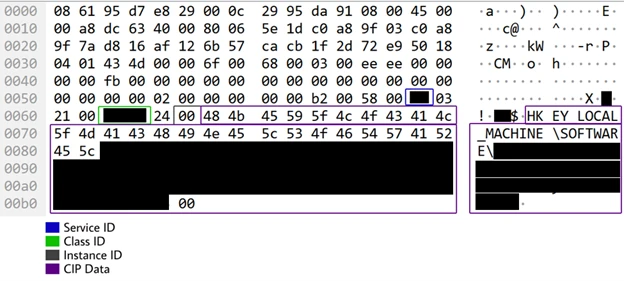 Screenshot of the packet, showing Class ID, Service ID, and vendor-specific ID.