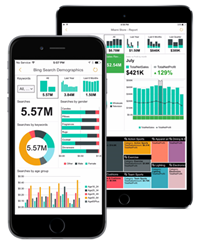 Responsive Mobile Reports