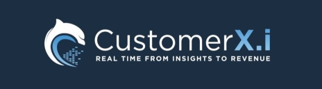 CustomerX.I Logo