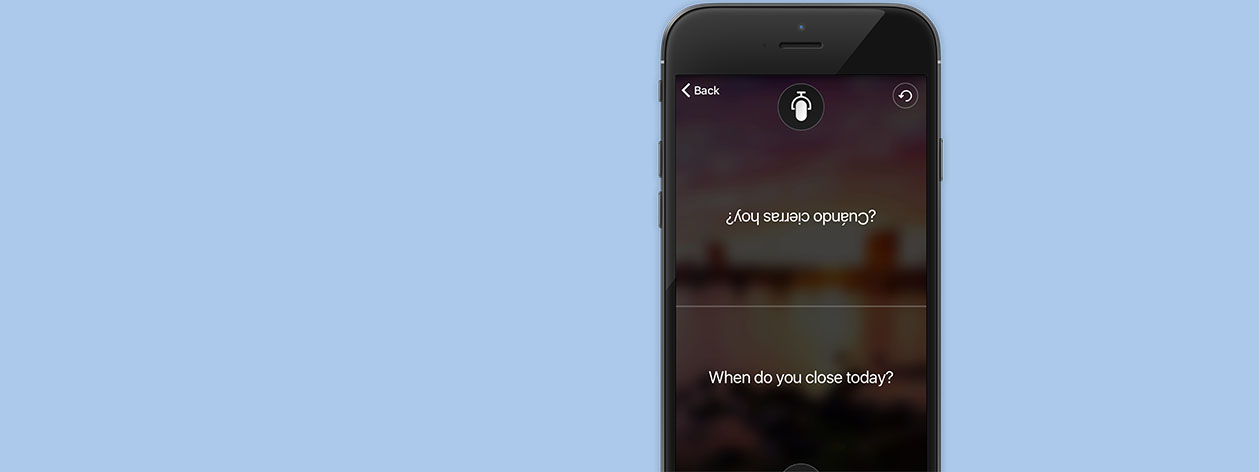 Translator app split-screen feature