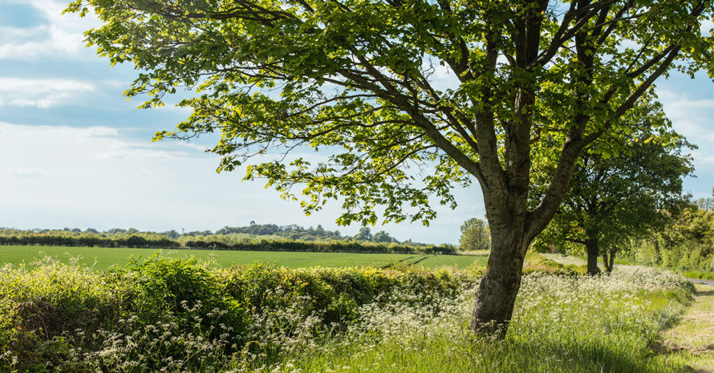 ヘッダーフォト
