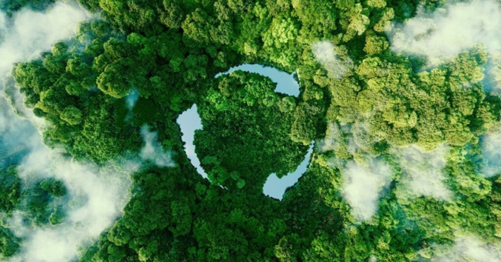 上空からみた熱帯雨林