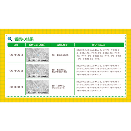 自由研究 (じゆうけんきゅう) ノート (野菜の再生栽培・観察 やさいのさいせいさいばい・かんさつ) 画面スライド-2
