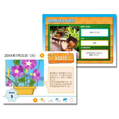 植物観察レポート 画像スライド-1