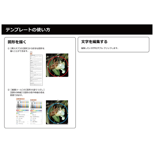 生き物観察ノート 画像スライド-6