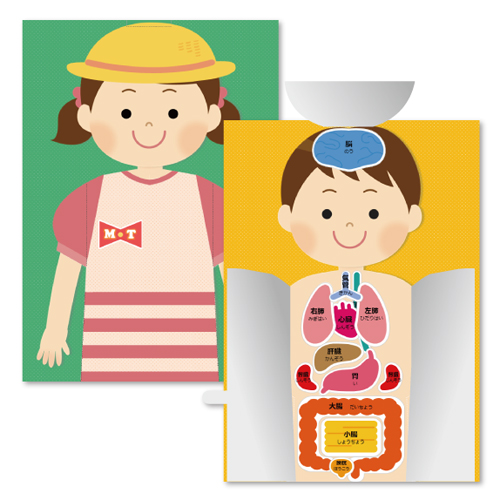 体 (からだ) のしくみパズル 画像スライド-1