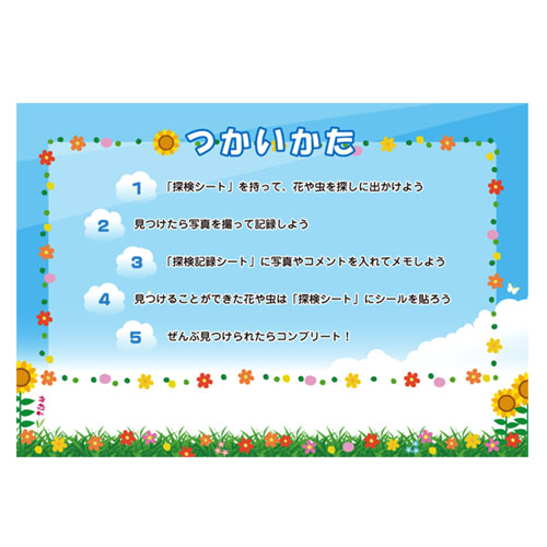 夏の花 (なつのはな) &昆虫 収集 (こんちゅうさいしゅう) シート 画像スライド-2