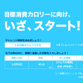 消費カロリー計算 (けいさん)