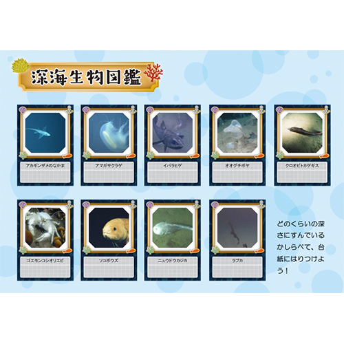 深海生物図鑑 (しんかいせいぶつずかん) 画像スライド-4