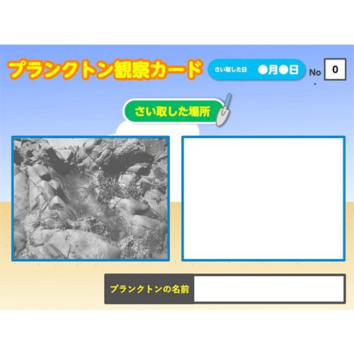 プランクトン観察カード 画像スライド-2