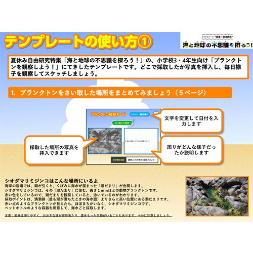 プランクトン観察カード 画像スライド-5