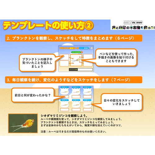 プランクトン観察カード 画像スライド-6