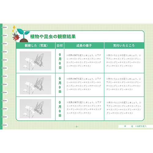 自由研究 (じゆうけんきゅう) ノート (観察 かんさつ) 画像スライド-4