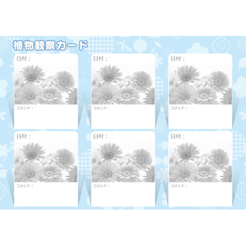 植物観察カード 画像スライド-2